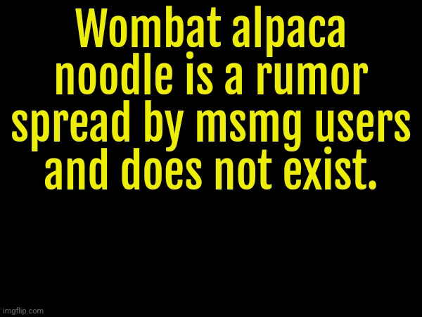 bro is NOT drizzy | Wombat alpaca noodle is a rumor spread by msmg users and does not exist. | made w/ Imgflip meme maker