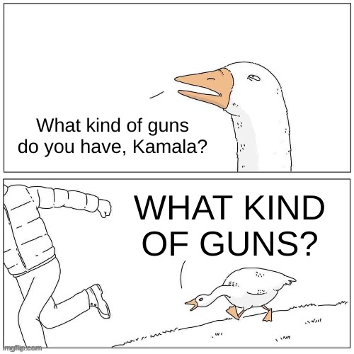 Kamala gun | What kind of guns do you have, Kamala? WHAT KIND OF GUNS? | image tagged in goose chase | made w/ Imgflip meme maker