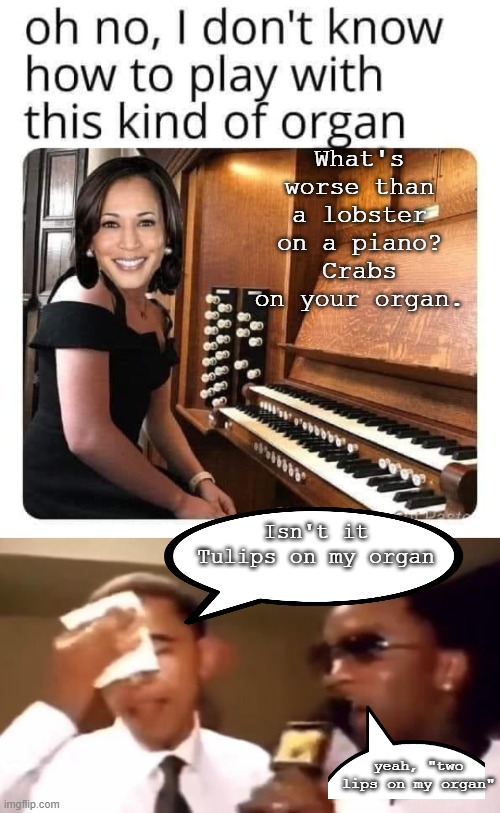 Never forget how Kamala Harris got her start. She isn't a stranger to Diddy parties in L.A. either. ?? | What's worse than a lobster on a piano? Crabs on your organ. Isn't it Tulips on my organ; yeah, "two lips on my organ" | image tagged in kamala harris,politics lol,diddy,obama biden,democrat party | made w/ Imgflip meme maker