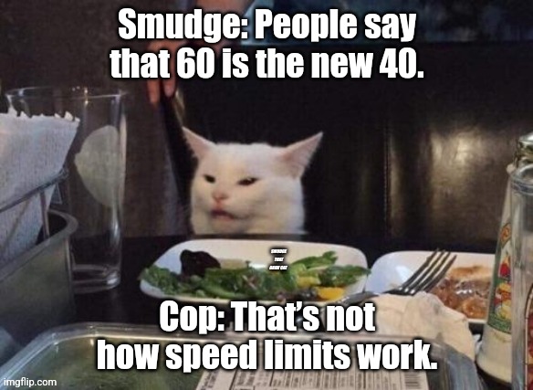 Smudge Cat | Smudge: People say that 60 is the new 40. Cop: That’s not how speed limits work. | image tagged in smudge that darn cat,smudge the cat,smudge,cats,funny cats | made w/ Imgflip meme maker