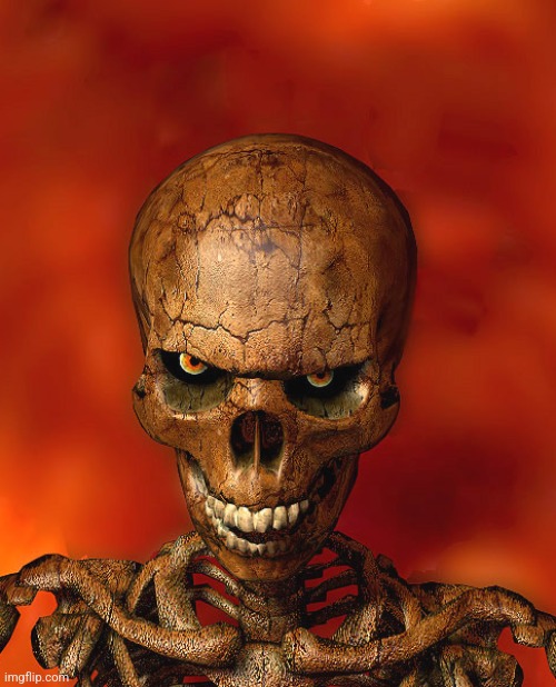 Angry Skeleton | image tagged in angry skeleton | made w/ Imgflip meme maker