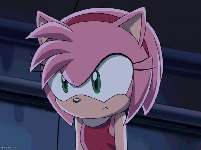 ? ? | image tagged in amy rose | made w/ Imgflip meme maker