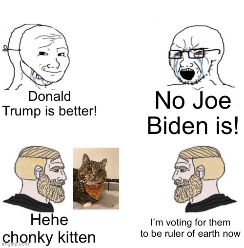 Lol (fun stream declined this so ig I’ll put it here) | No Joe Biden is! Donald Trump is better! I’m voting for them to be ruler of earth now; Hehe chonky kitten | image tagged in chad we know,f a t c a t | made w/ Imgflip meme maker