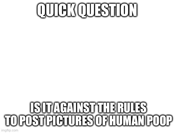 Blank White Template | QUICK QUESTION; IS IT AGAINST THE RULES TO POST PICTURES OF HUMAN POOP | image tagged in blank white template | made w/ Imgflip meme maker