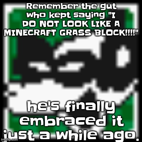 Especially with the "I am steve" parody he did | Remember the gut who kept saying "I DO NOT LOOK LIKE A MINECRAFT GRASS BLOCK!!!!"; he's finally embraced it just a while ago. | image tagged in low quality dob | made w/ Imgflip meme maker