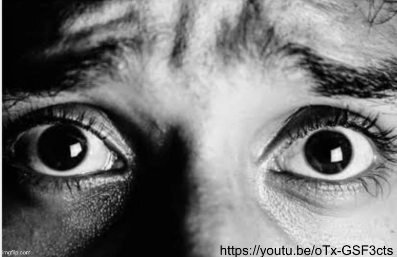 Unnerved Stare | https://youtu.be/oTx-GSF3cts | image tagged in unnerved stare | made w/ Imgflip meme maker