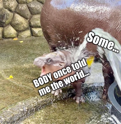 Moo Deng be like | Some…; BODY once told me the world… | image tagged in funny,animals,memes | made w/ Imgflip meme maker