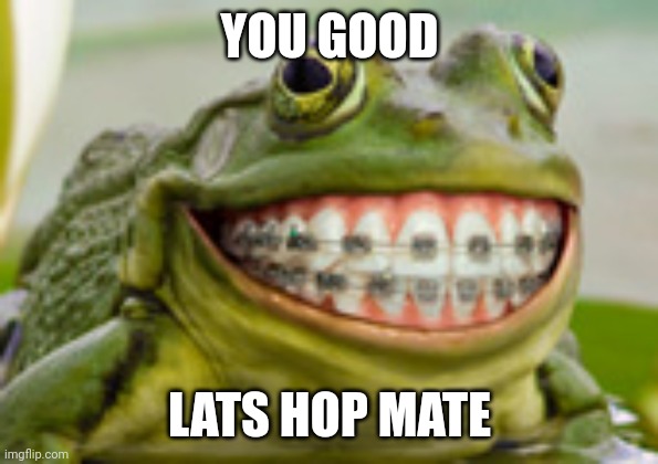 Frog Smile | YOU GOOD; LATS HOP MATE | image tagged in frog smile | made w/ Imgflip meme maker