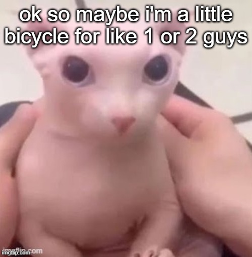 bingus | ok so maybe i'm a little bicycle for like 1 or 2 guys | image tagged in bingus | made w/ Imgflip meme maker