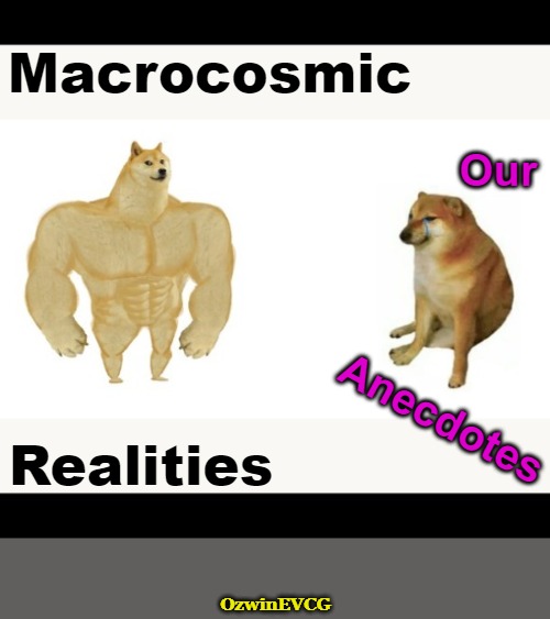 "My Exceptions Reset the Planet!" | Macrocosmic; Our; Anecdotes; Realities; OzwinEVCG | image tagged in buff doge vs crying cheems,reality,exception,logic,education,falling standards | made w/ Imgflip meme maker