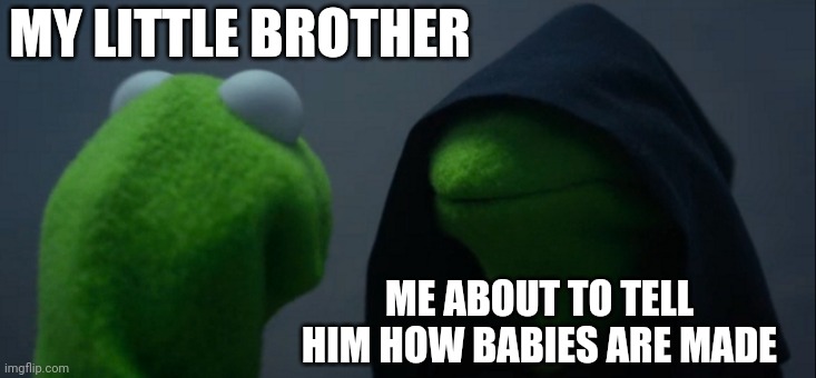 Evil Kermit | MY LITTLE BROTHER; ME ABOUT TO TELL HIM HOW BABIES ARE MADE | image tagged in memes,evil kermit | made w/ Imgflip meme maker