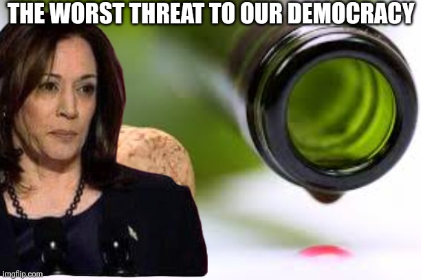 empty wine bottle | THE WORST THREAT TO OUR DEMOCRACY | image tagged in empty wine bottle | made w/ Imgflip meme maker