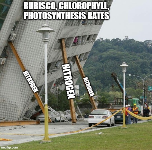 Falling building held up with sticks | RUBISCO, CHLOROPHYLL, PHOTOSYNTHESIS RATES; NITROGEN; NITROGEN; NITROGEN | image tagged in falling building held up with sticks | made w/ Imgflip meme maker