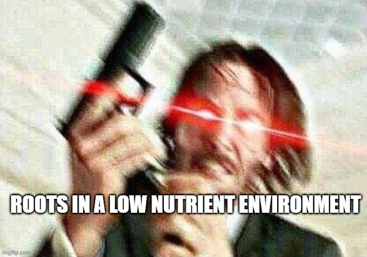 John Wick | ROOTS IN A LOW NUTRIENT ENVIRONMENT | image tagged in john wick | made w/ Imgflip meme maker