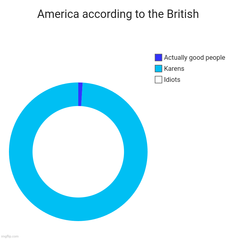 America according to the British | Idiots, Karens, Actually good people | image tagged in charts,donut charts | made w/ Imgflip chart maker