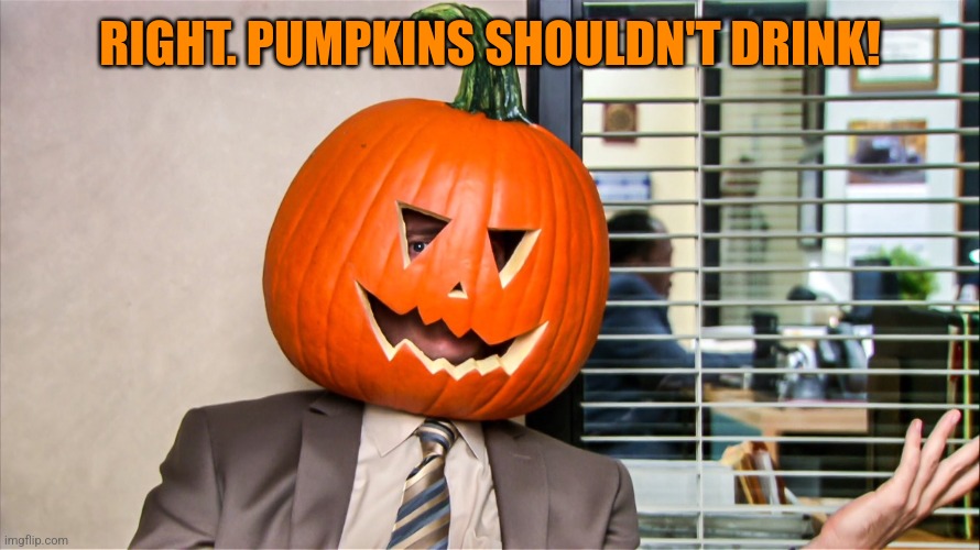 The Office | RIGHT. PUMPKINS SHOULDN'T DRINK! | image tagged in the office | made w/ Imgflip meme maker