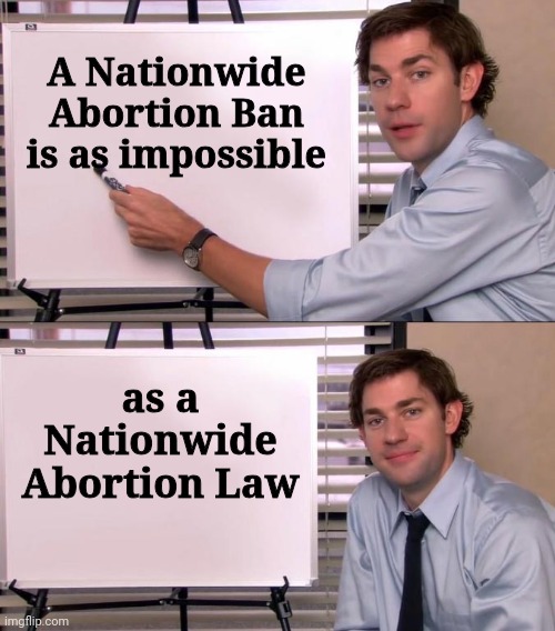 I just wish they would shut up about it ! | A Nationwide Abortion Ban is as impossible; as a Nationwide Abortion Law | image tagged in jim halpert explains,scare tactics,democrats,democratting,election cheats,winning is the only important thing | made w/ Imgflip meme maker