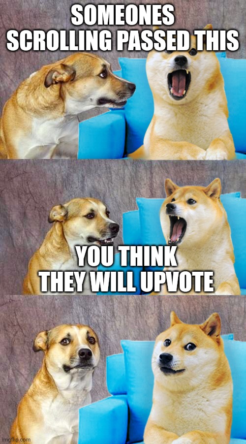 Dad Joke Doge | SOMEONES SCROLLING PASSED THIS; YOU THINK THEY WILL UPVOTE | image tagged in dad joke doge | made w/ Imgflip meme maker