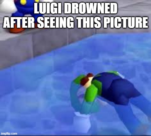 luigi drowned | LUIGI DROWNED AFTER SEEING THIS PICTURE | image tagged in luigi drowned | made w/ Imgflip meme maker