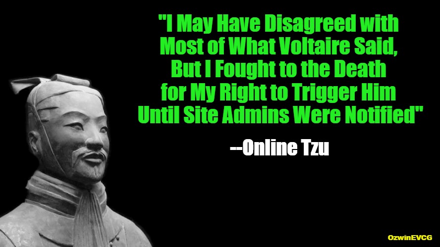 France vs China--Who Won, Who Wins?! | "I May Have Disagreed with 

Most of What Voltaire Said, 

But I Fought to the Death 

for My Right to Trigger Him 

Until Site Admins Were Notified"; --Online Tzu; OzwinEVCG | image tagged in sun tzu,triggered voltaire,famous sayings,fake quotes,analog vs digital,know your history | made w/ Imgflip meme maker