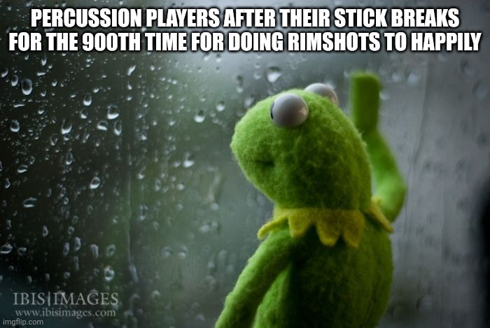 kermit window | PERCUSSION PLAYERS AFTER THEIR STICK BREAKS FOR THE 900TH TIME FOR DOING RIMSHOTS TO HAPPILY | image tagged in kermit window | made w/ Imgflip meme maker