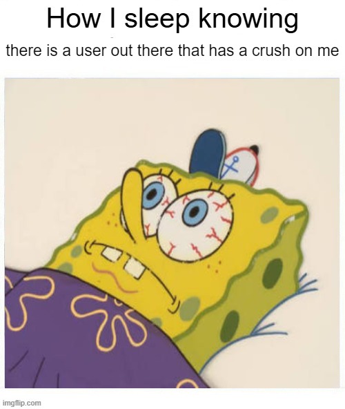How I sleep knowing no user has a crush on me | there is a user out there that has a crush on me | image tagged in how i sleep knowing no user has a crush on me | made w/ Imgflip meme maker