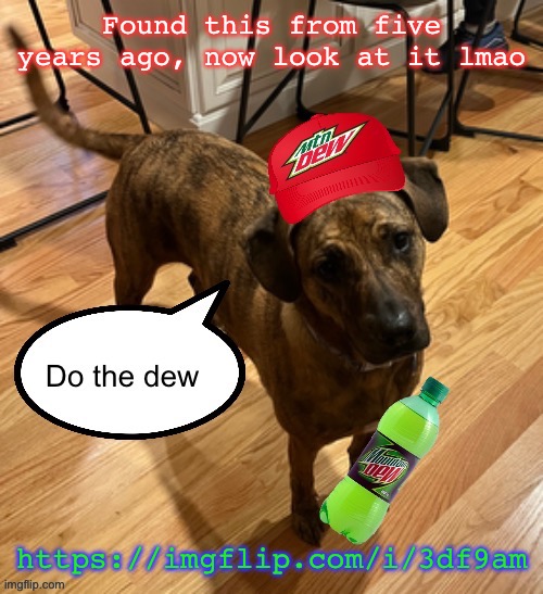 Do the dew | Found this from five years ago, now look at it lmao; https://imgflip.com/i/3df9am | image tagged in do the dew | made w/ Imgflip meme maker