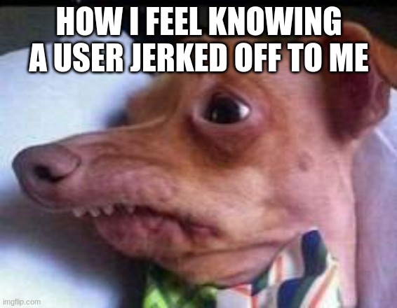 and no it wasnt swede | HOW I FEEL KNOWING A USER JERKED OFF TO ME | image tagged in lisp dog | made w/ Imgflip meme maker