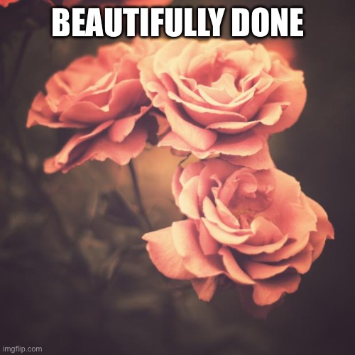 Beautiful Vintage Flowers | BEAUTIFULLY DONE | image tagged in beautiful vintage flowers | made w/ Imgflip meme maker