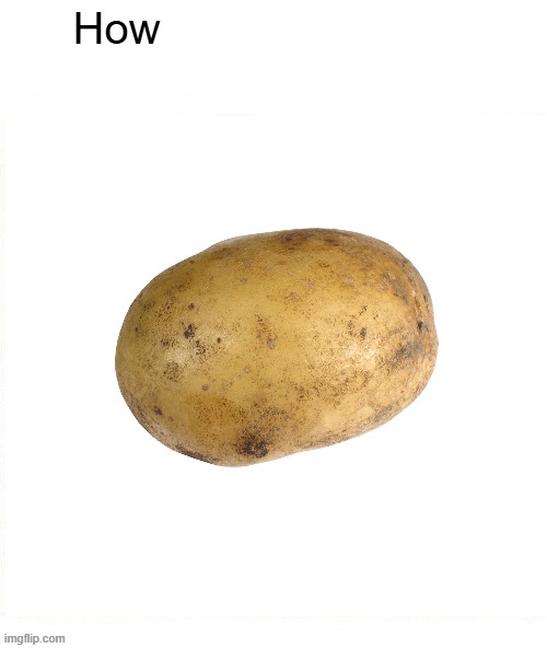 how | image tagged in how i sleep knowing no user has a crush on me | made w/ Imgflip meme maker