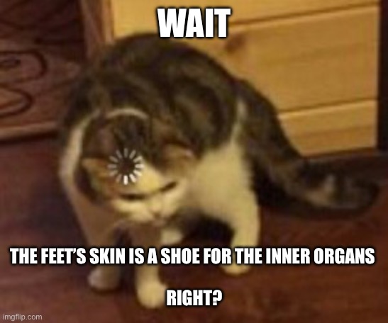 Loading cat | WAIT THE FEET’S SKIN IS A SHOE FOR THE INNER ORGANS 
 
RIGHT? | image tagged in loading cat | made w/ Imgflip meme maker