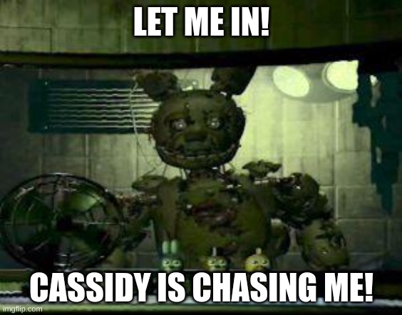 FNAF Springtrap in window | LET ME IN! CASSIDY IS CHASING ME! | image tagged in fnaf springtrap in window | made w/ Imgflip meme maker