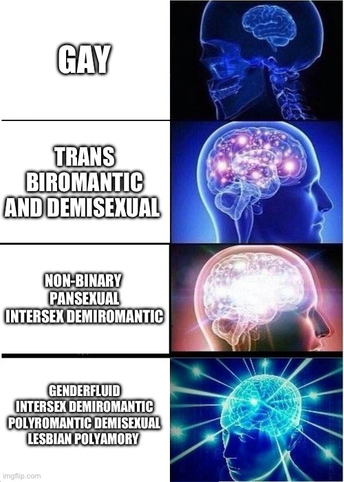 How pride are you? | GAY; TRANS BIROMANTIC AND DEMISEXUAL; NON-BINARY  PANSEXUAL INTERSEX DEMIROMANTIC; GENDERFLUID INTERSEX DEMIROMANTIC POLYROMANTIC DEMISEXUAL LESBIAN POLYAMORY | image tagged in memes,expanding brain | made w/ Imgflip meme maker