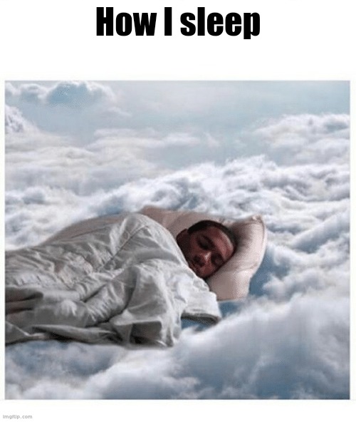 Zzz | How I sleep | image tagged in how i sleep knowing | made w/ Imgflip meme maker