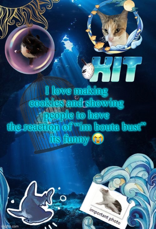 silly announcement template by asriel | I love making cookies and showing people to have the reaction of “im bouta bust”
its funny 😭 | image tagged in silly announcement template by asriel | made w/ Imgflip meme maker