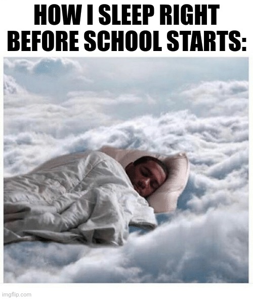 Relatable | HOW I SLEEP RIGHT BEFORE SCHOOL STARTS: | image tagged in how i sleep knowing | made w/ Imgflip meme maker