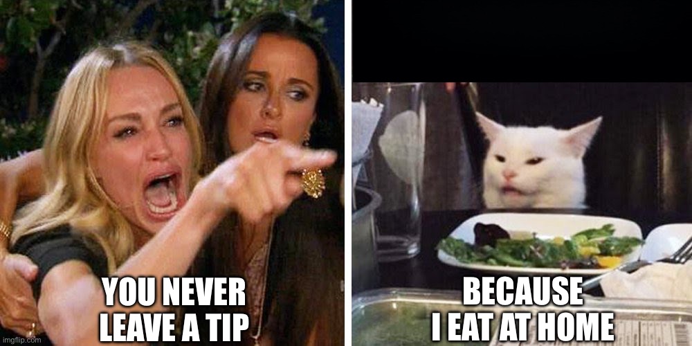 Smudge the cat | YOU NEVER LEAVE A TIP BECAUSE I EAT AT HOME | image tagged in smudge the cat | made w/ Imgflip meme maker