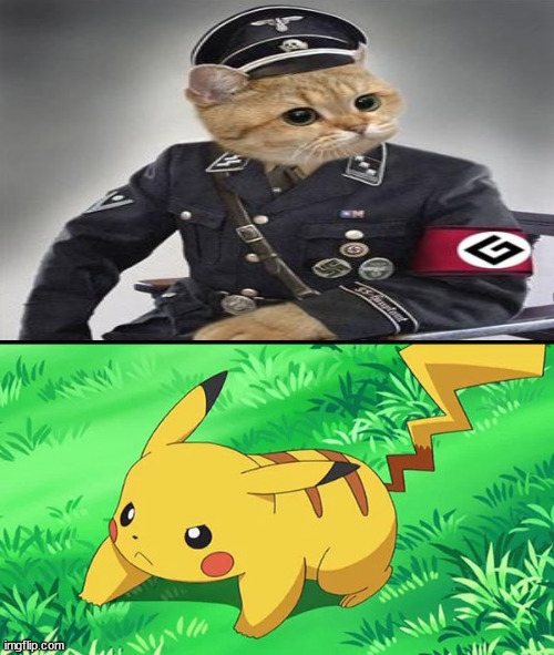 pikachu hates nazi cats | image tagged in pikachu hates,nazis,cats,pokemon memes,neo-nazis | made w/ Imgflip meme maker