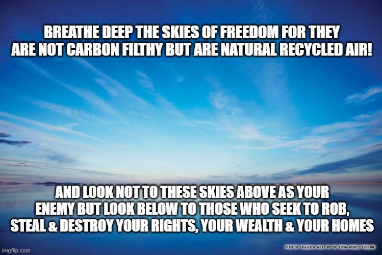 BREATHE DEEP THE SKIES OF FREEDOM FOR THEY ARE NOT CARBON FILTHY BUT ARE NATURAL RECYCLED AIR! AND LOOK NOT TO THESE SKIES ABOVE AS YOUR ENEMY BUT LOOK BELOW TO THOSE WHO SEEK TO ROB, STEAL & DESTROY YOUR RIGHTS, YOUR WEALTH & YOUR HOMES; POST BY TIGGER & WILLY W/ PIC FROM WORLD TRIBUNE | made w/ Imgflip meme maker