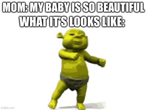 If that what you think.. sure | WHAT IT’S LOOKS LIKE:; MOM: MY BABY IS SO BEAUTIFUL | image tagged in shrek,baby | made w/ Imgflip meme maker