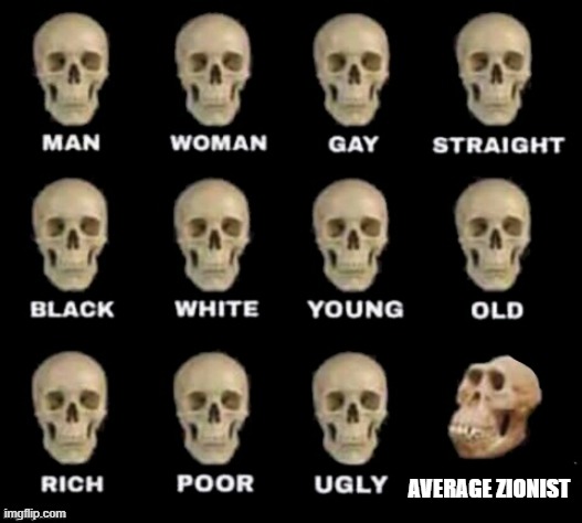 idiot skull | AVERAGE ZIONIST | image tagged in idiot skull | made w/ Imgflip meme maker