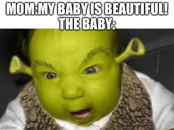 If you think so | MOM:MY BABY IS BEAUTIFUL!
THE BABY: | made w/ Imgflip meme maker