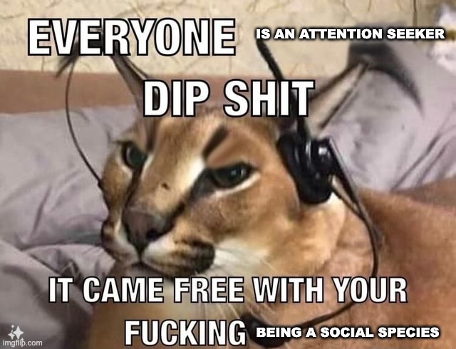 we are a social species of fucking course we attention seek | IS AN ATTENTION SEEKER; BEING A SOCIAL SPECIES | image tagged in everyone x dipshit it came free with your y | made w/ Imgflip meme maker