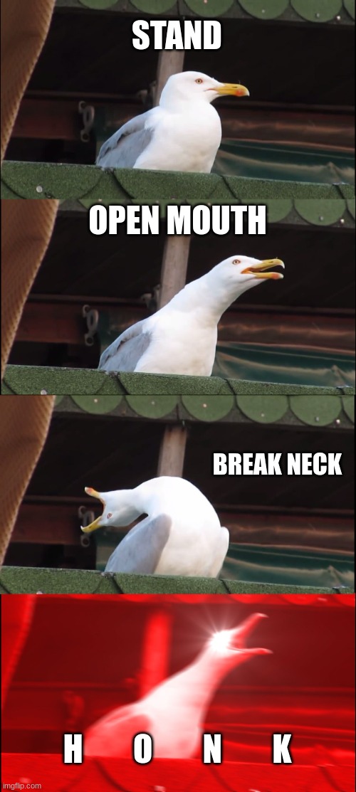 Inhaling Seagull | STAND; OPEN MOUTH; BREAK NECK; H        O        N        K | image tagged in memes,inhaling seagull | made w/ Imgflip meme maker