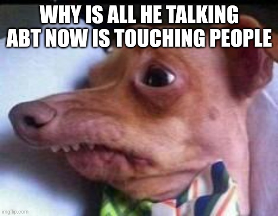 lisp dog | WHY IS ALL HE TALKING ABT NOW IS TOUCHING PEOPLE | image tagged in lisp dog | made w/ Imgflip meme maker