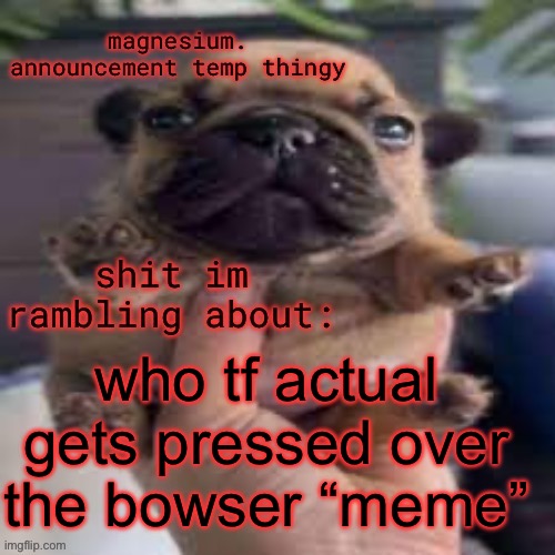 pug temp | who tf actual gets pressed over the bowser “meme” | image tagged in pug temp | made w/ Imgflip meme maker