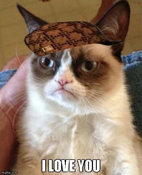 Grumpy Cat Meme | I LOVE YOU | image tagged in memes,grumpy cat,scumbag | made w/ Imgflip meme maker