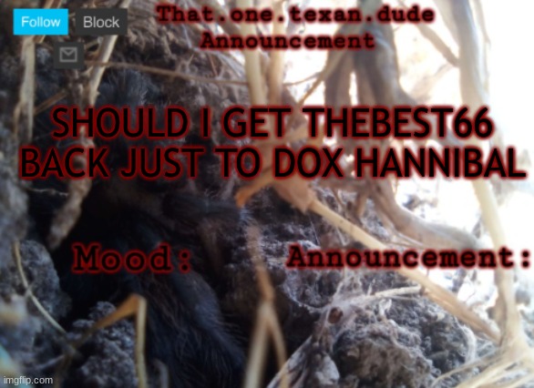 THE that.one.texan.dude announcement template | SHOULD I GET THEBEST66 BACK JUST TO DOX HANNIBAL | image tagged in the that one texan dude announcement template | made w/ Imgflip meme maker