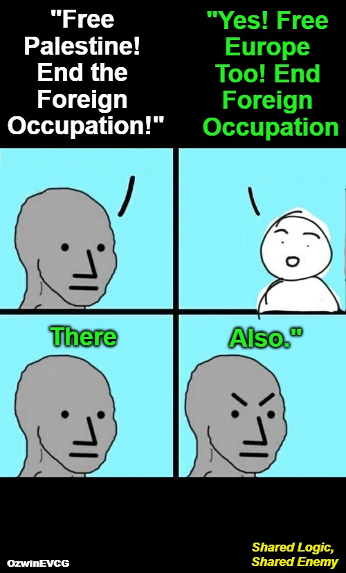 Shared Logic, Shared Enemy | "Yes! Free 

Europe 

Too! End 

Foreign 

Occupation; "Free 

Palestine! 

End the 

Foreign 

Occupation!"; Also."; There; Shared Logic, 

Shared Enemy; OzwinEVCG | image tagged in npc,palestine,europe,antiwhite,double standards,liberal logic | made w/ Imgflip meme maker