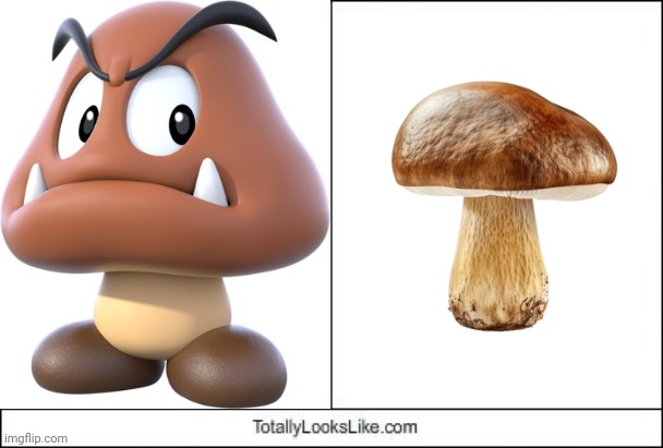 Goomba | image tagged in totally looks like,lookalike,gaming,memes,goomba,mushroom | made w/ Imgflip meme maker